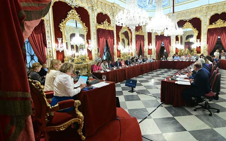 Un momento del pleno mensual / FOTO: Eulogio García