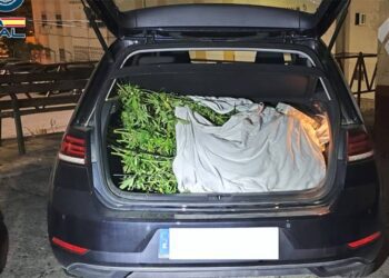 La prueba del delito / FOTO: Policía Nacional