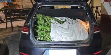La prueba del delito / FOTO: Policía Nacional