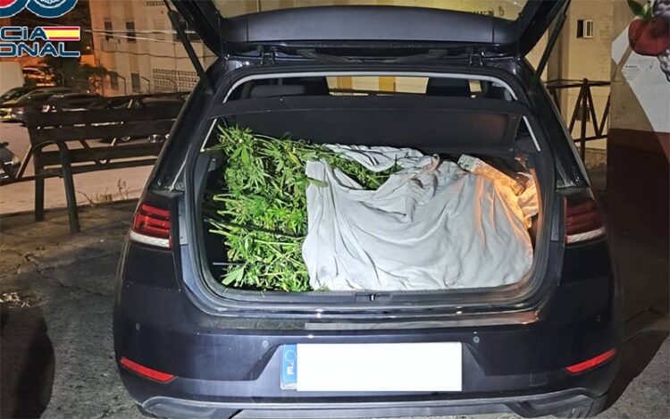 La prueba del delito / FOTO: Policía Nacional