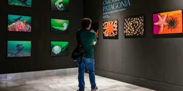 La exposición de Sorensen se puede visitar todo el verano / FOTO: Eulogio García