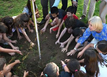 En la plantación del primer ejemplar de ‘alcanforero’ en el Parque El Retiro de Jerez / FOTO: Ayto.