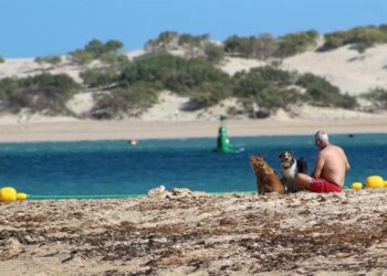 Los primeros usuarios de la playa canina / FOTO: Ayto.