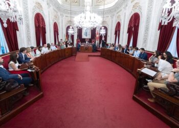 Un momento del pleno extraordinario / FOTO: Ayto.