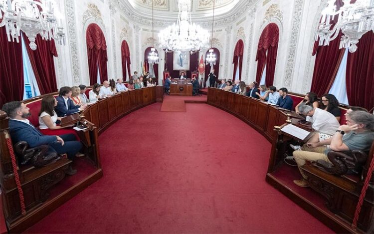 Un momento del pleno extraordinario / FOTO: Ayto.