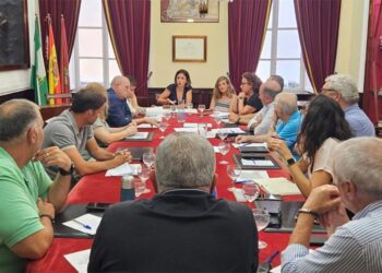 La concejala Gandullo presidiendo la reunión / FOTO: Ayto.