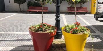 Varios de los nuevos maceteros que se ven por el centro / FOTO: Ayto.