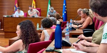 Palmero presidiendo la reunión en el salón de plenos / FOTO: Ayto.