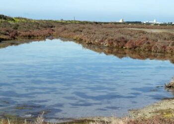 Estampa de esteros entre Cádiz y San Fernando / FOTO: Junta