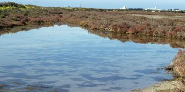 Estampa de esteros entre Cádiz y San Fernando / FOTO: Junta