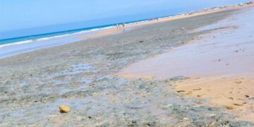 El molesto fango habitual este verano en la playa isleña / FOTO: AxSí