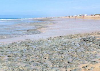 Fango en uno de los tramos de la playa isleña / FOTO: AxSí