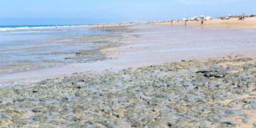 Fango en uno de los tramos de la playa isleña / FOTO: AxSí