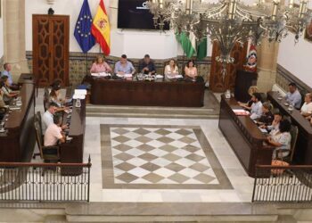 Un momento del pleno extraordinario / FOTO: Ayto.