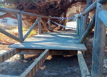 Tablones sustraídos en pasarelas de los pinares / FOTO: Ayto.