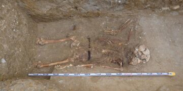 Restos de un asesinado por el franquismo localizado en Sanlúcar / FOTO: Diputación
