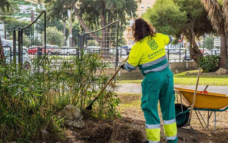 Operarios del servicio en plena faena / FOTO: Ayto.