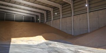 El grano en las flamantes instalaciones / FOTO: APBC