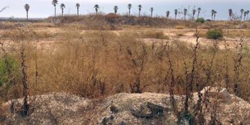 La Magdalena, tras dos años a la espera del reinicio de la obra / FOTO: DBC