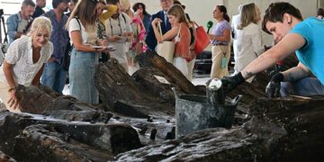 La consejera observa detalles del pecio / FOTO: Eulogio García