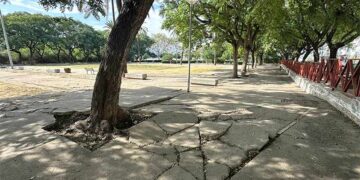 Uno de los rincones del degradado parque / FOTO: Ayto.