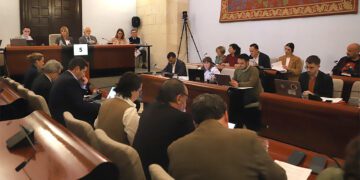 Un momento del pleno / FOTO: Ayto.