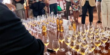 Una pasada cata de vinos en la ciudad / FOTO: Diputación