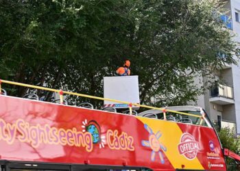 Podas recientes en ejemplares de la avenida / FOTO: Eulogio García