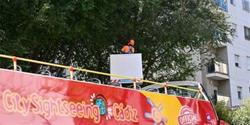 Podas recientes en ejemplares de la avenida / FOTO: Eulogio García