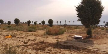 Un rincón de La Magdalena tras dos años de abandono / FOTO: DBC