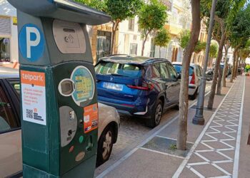 Parquímetro en la calle de los arbolitos / FOTO: DBC