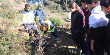 Grupo de escolares atento a una plantación / FOTO: Ayto.