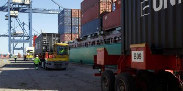 Actividad en el muelle Reina Sofía / FOTO: APBC