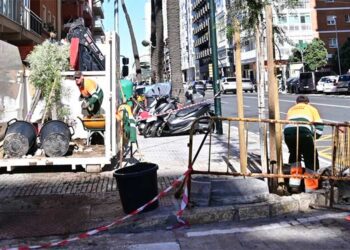 Plantando nuevos ejemplares en la avenida / FOTO: Eulogio García