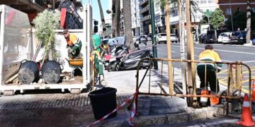 Plantando nuevos ejemplares en la avenida / FOTO: Eulogio García