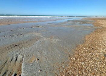 Estado de la orilla en una foto denuncia reciente de AxSí