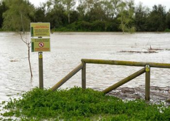 Uno de los tramos del río ya desbordado en la mañana del jueves / FOTO: Junta