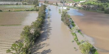 Uno de los tramos del río muy crecido en imágenes tomadas por la Junta