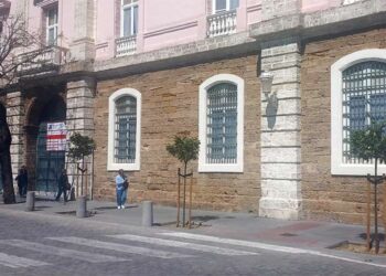Varios de los ejemplares reemplazados / FOTO: Agaden