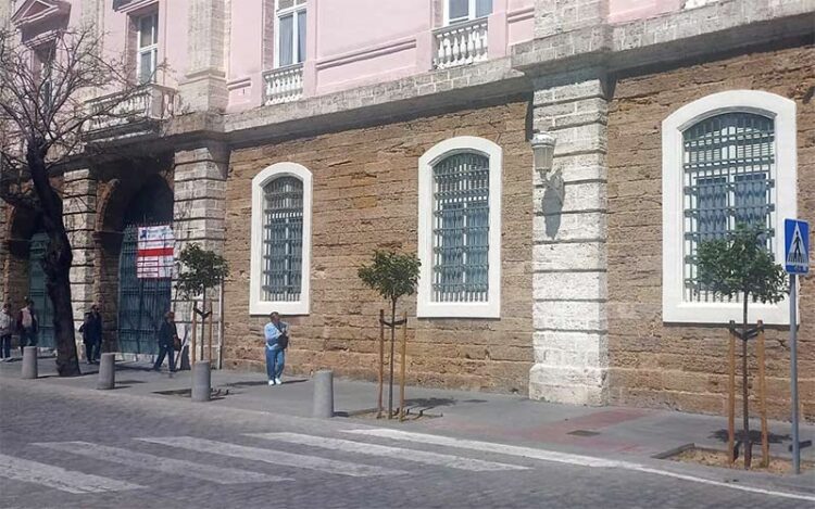 Varios de los ejemplares reemplazados / FOTO: Agaden