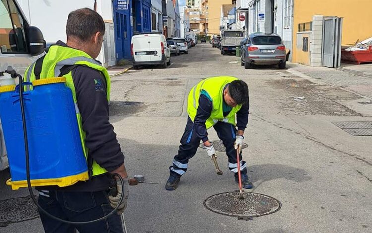 Operarios actuando en el alcantarillado / FOTO: Ayto.