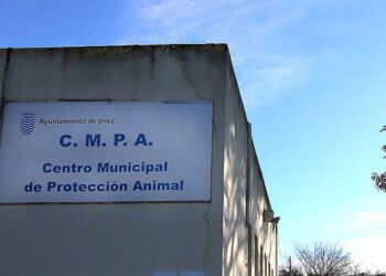 Detalle del CMPA / FOTO: Ayto.