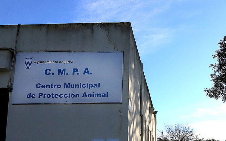 Detalle del CMPA / FOTO: Ayto.
