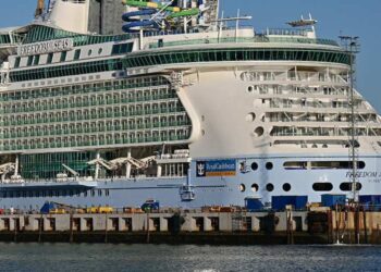 El Freedom of the Seas pasaba por Cádiz en enero / FOTO: Eulogio García