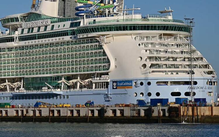 El Freedom of the Seas pasaba por Cádiz en enero / FOTO: Eulogio García
