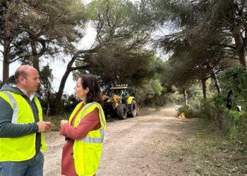 Representantes del Gobierno andaluz charlando entre pinares / FOTO: Junta
