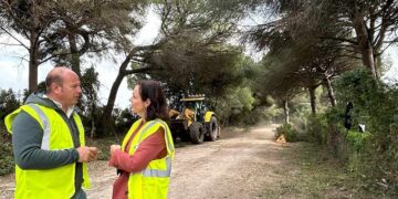 Representantes del Gobierno andaluz charlando entre pinares / FOTO: Junta