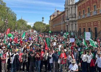El punto final de la manifestación, junto a San Telmo / FOTO: CCOO-A