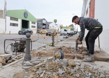 Trabajando sobre el terreno / FOTO: Ayto.