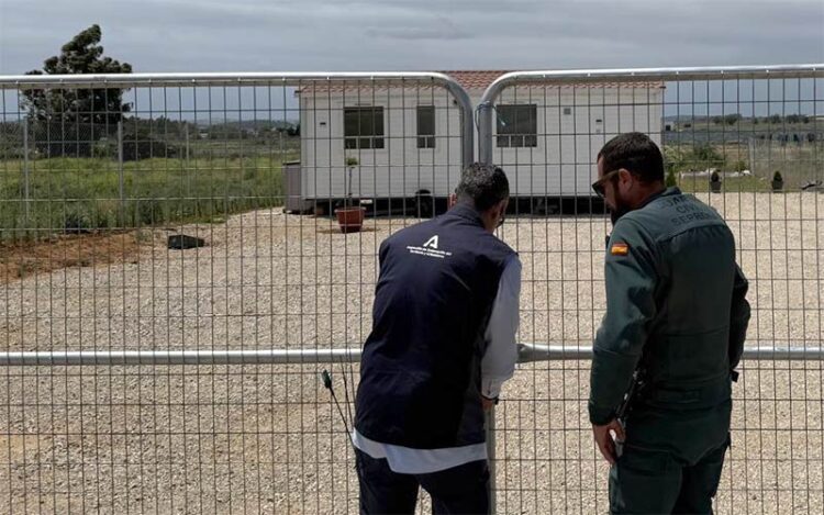 Una de las parcelas denunciadas, con su casita de madera ya colocada / FOTO: Junta
